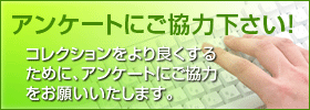 Qn̑csAs𒆐SƂXg[[fo[wX RNV ̃AP[g
