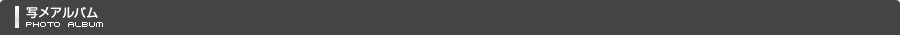 Qn̍sAOs𒆐SƂXg[[fo[wX RNV ̎ʃAo